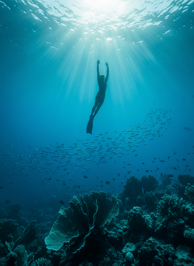 Sophisticated underwater diving photograph, a freediver silhouetted in deep blue water with rays of sunlight streaming down from the surface, marine atmosphere, serene and moody, fine-art editorial style, deep teal and indigo tones